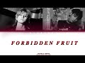 Taehyung Jungkook Forbidden Fruit Color Coded Lyrics AI Cover Taehyung Jungkook Forbidden Fruit Color Coded Lyrics AI Cover