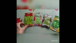 Спаржевая фасоль.  Asparagus beans. asparagusbeansdinnerharvestbabyfoodnodulibacteria