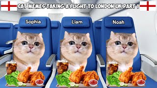 Cat Memes Taking A Flight To London UK Part 1