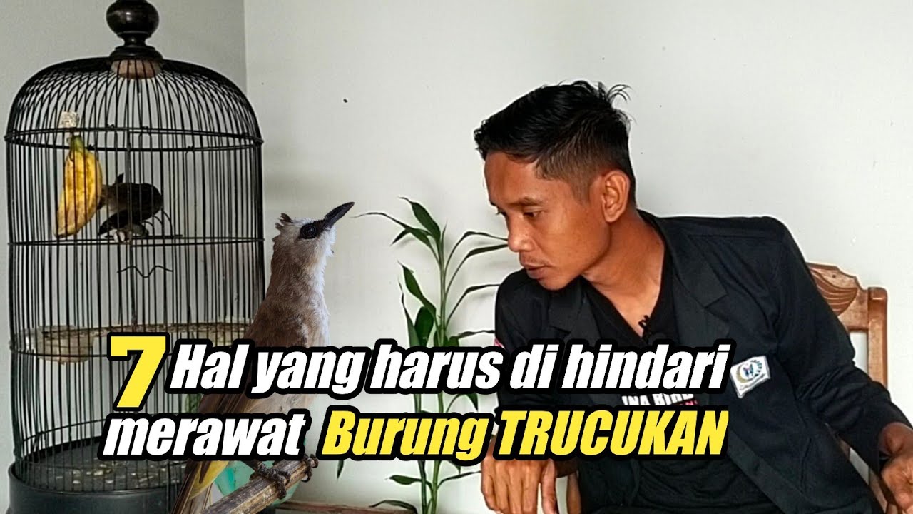 PASTI BARU TAU SETELAH LIAT INI