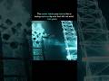 The Career Ladder is Gone: Agentic AI