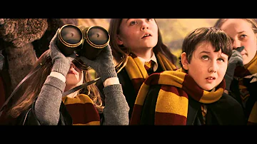 Comment s'appelle les balles du Quidditch dans Harry Potter ?