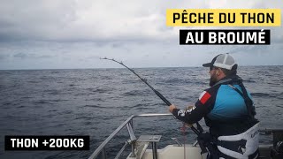 Pêche Du Thon Au Broumé, Gros Thon De Plus De 200Kg