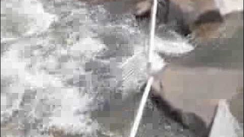 Cui-ui Run 2010 Part I.AVI