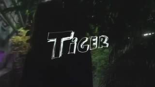 Ирина Горбачёва | Инстаграм | новый клип группы «Зоркий» на песню «Tiger»