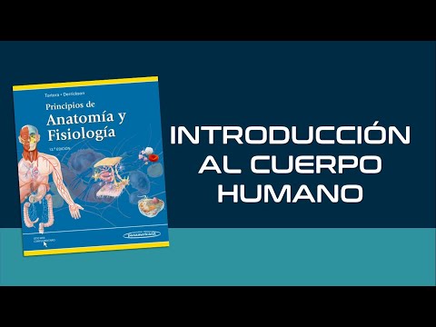 Vídeo: Conceptos Básicos Del Cuerpo Basal Humano