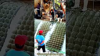 토사 붕괴를 막는 공법 Geotextile Mattress 콘크리트 주입 기술 #worker #process #construction #infrastructure #cement