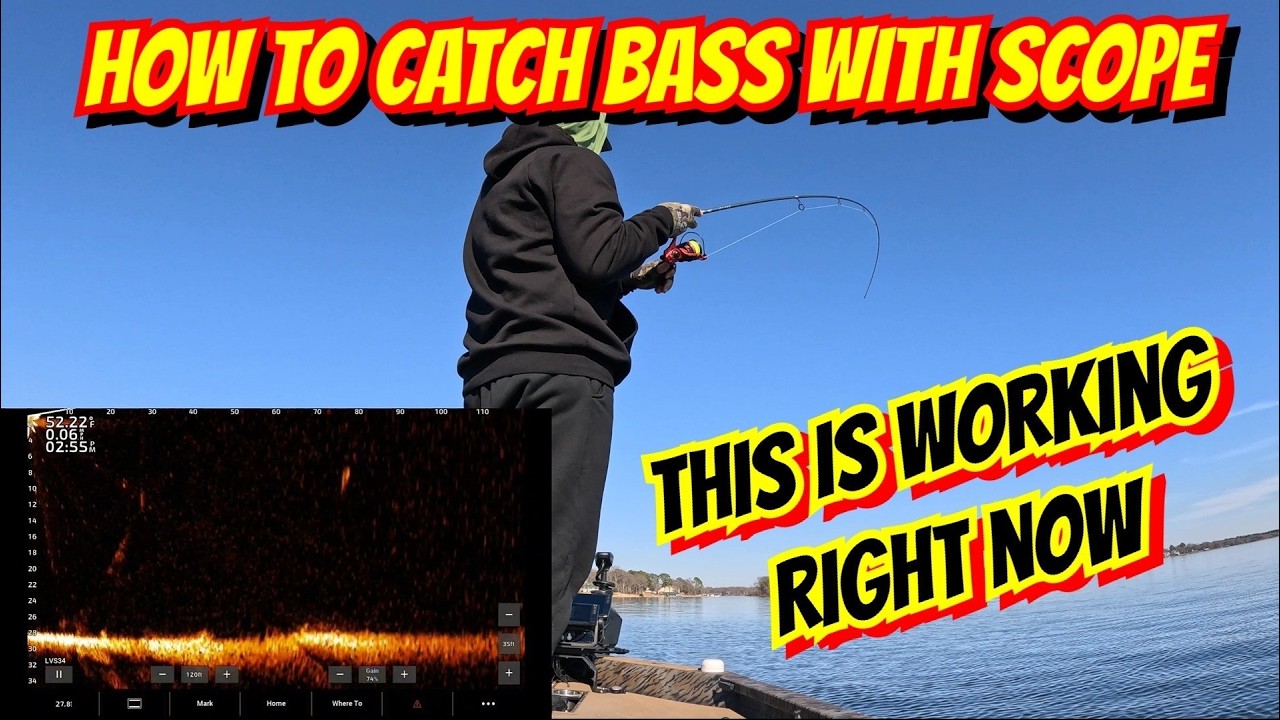 How to Catch Fish with LiveScope: Jig head Minnow for Bass
