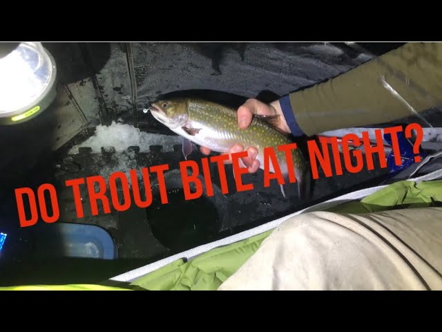Night Fishing for Trout 