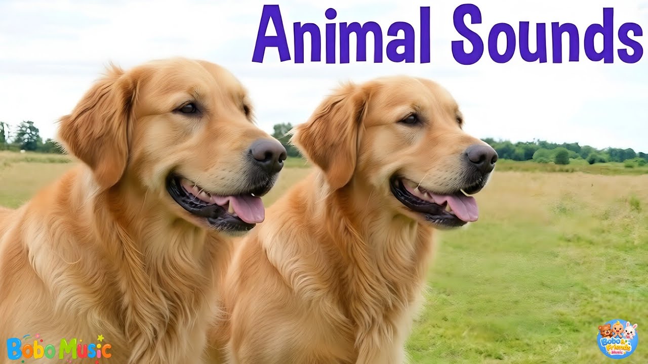 75+ Animal Sounds for Children | Amazing Animals - Cute Animal Moments | Wild And Domestic Animals