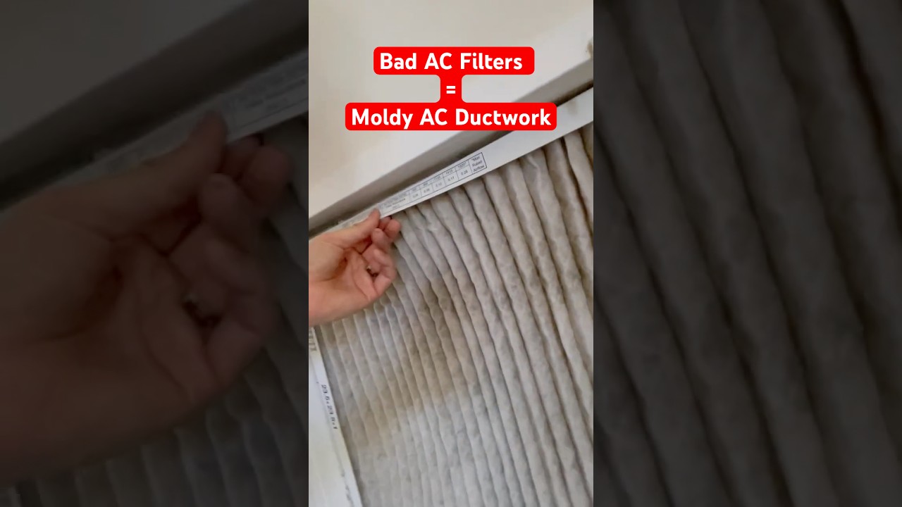 Pro Tip: Preventing mold in your AC system