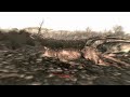 Fallout 3 race #61
