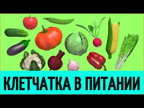 Значение пищевых волокон в питании человека. Почему пищевые волокна полезны