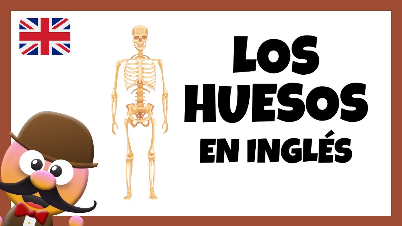 🦴LOS HUESOS EN INGLÉS🦴 - INGLÉS PARA NIÑOS CON MR.PEA - ENGLISH FOR