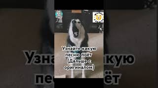 Узнайте какую песню поёт 🐶 (Дальше с оригиналом) от Mishael Lakmus