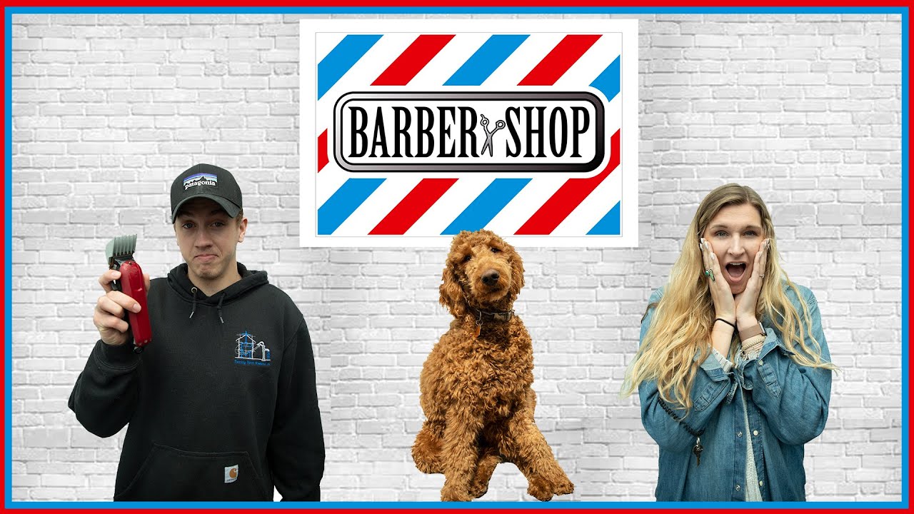 ATTEMPTING TO CUT OUR DOG'S HAIR... *BAD IDEA*