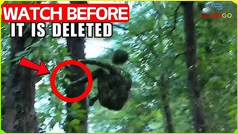 If This Footage From The Amazon HADN’T LEAKED, No One Would Believe It | Unsolved Mysteries