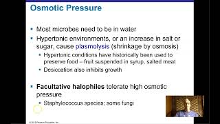Ch 6 Part 1 Microbial Growth