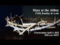 5th Sunday in Lent