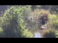 Tumwater Historical Park Part 3 Sept 2025