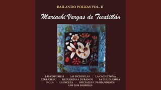 Video thumbnail of "Mariachi Vargas de Tecalitlán - La Faceta"