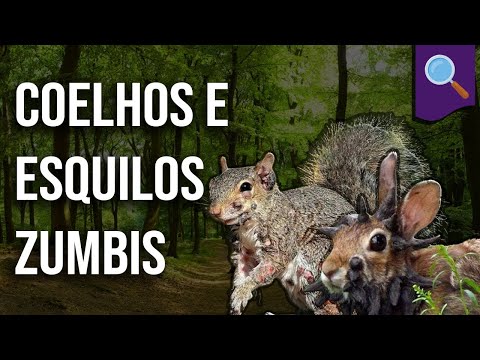 Debunking: Zombie Rabbits and Squirrels