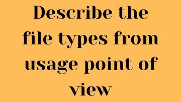 Describe the file types from usage point of view | 12th Class Computer-learn Izhan