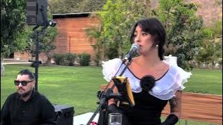 Too Much - SouLab Live Music (Live )