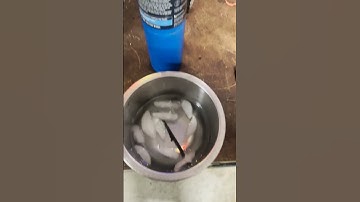 Fixing Arrma Infraction RC Car