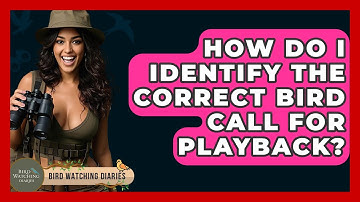 How Do I Identify The Correct Bird Call For Playback? - Bird Watching Diaries