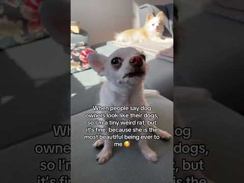 Https Vm Tiktok Com ZNdor5cKD