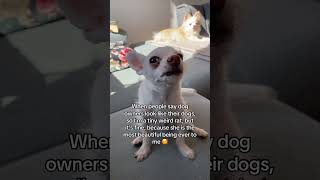 Download Lagu https://vm.tiktok.com/ZNdor5cKD/ MP3