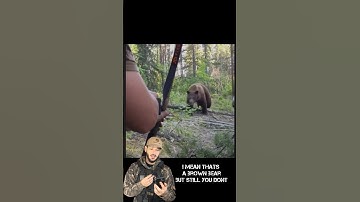 Bow VS Bear. #hunting #blackbear #wildlife #outdoors