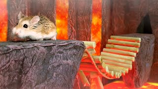 MAJOR HAMSTER vs CAT dr. MAX 4: UNDERGROUND WORLD adventure