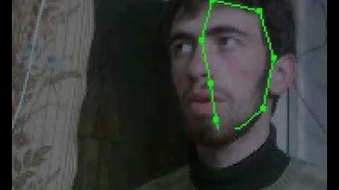 Optical Flow Detection