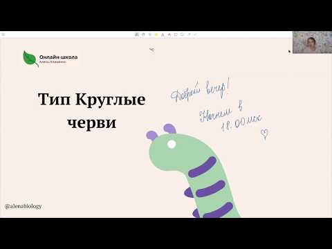 Тип Круглые черви