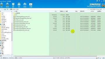 19、快速开发 逆向生成所有微服务基本CRUD代码