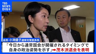 自民・小渕選対委員長が茂木派退会　麻生氏・茂木氏の進退も焦点に　麻生派は存続確認か｜TBS NEWS DIG