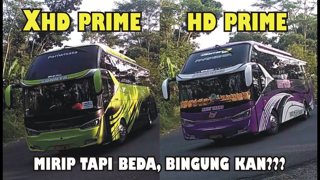 [Bismania] BUS Pariwisata Terbaru XHD Prime & HD Prime, Jetbus SHD HDD HD Jetliner Di Tikungan Timez