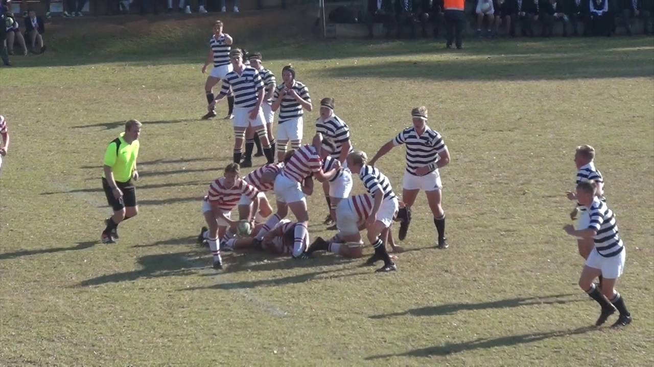 Michaelhouse 2nd XV Highlights 2016
