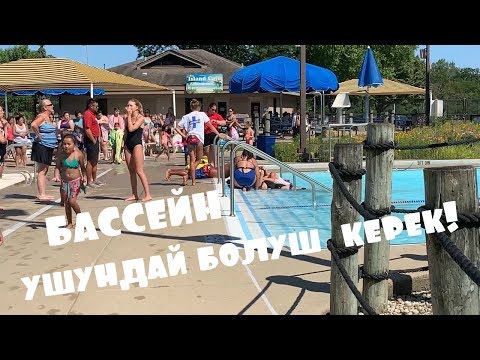 Video: Сууга чөккөн өсүмдүктөрдүн стоматасы барбы?