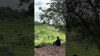 #bollywood #viral #song #love #nature #ytshorts #green #music #explore #tourism #shootlove #video
