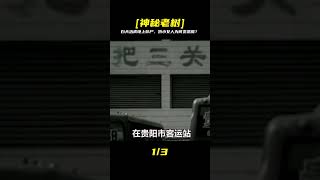 白天治病救人，晚上殺人碎尸，這個嬌小女人因何有兩副面孔 #双面女医生，杀人碎尸，剧情反转，惊悚，悬疑