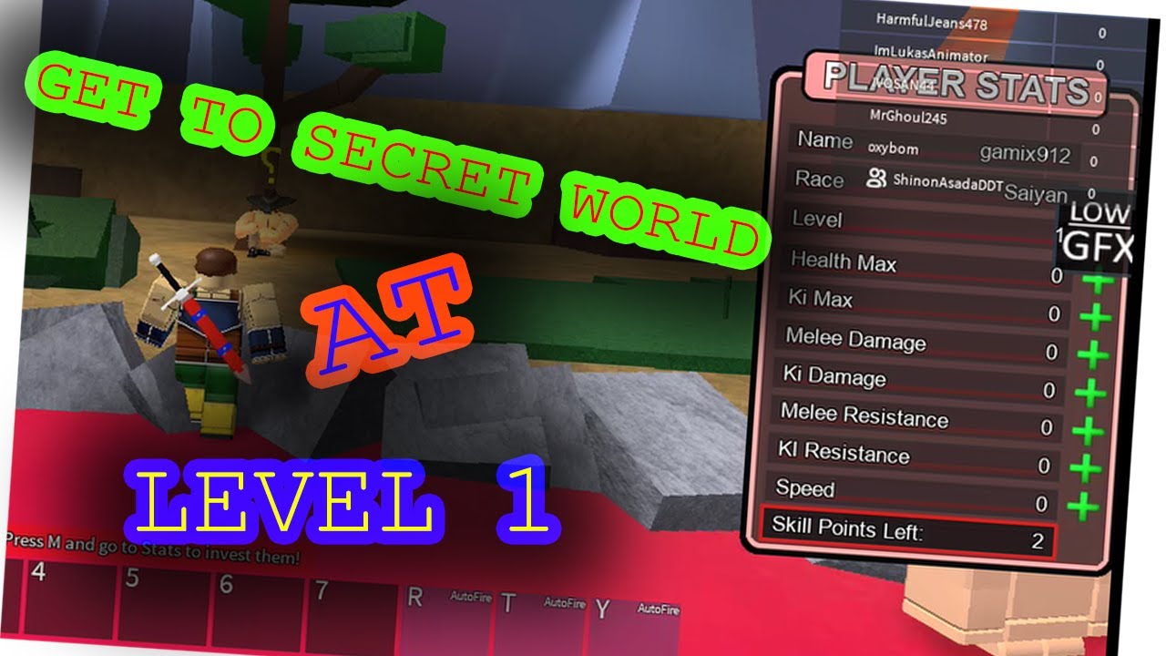 Go to Secret World at level 1 |DBZFS|
