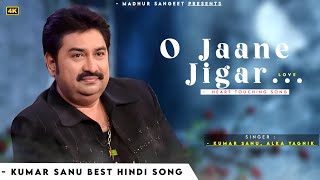 O Jaane Jigar - Kumar Sanu | Alka Yagnik | Yeh Hai Jalwa | Kumar Sanu Hits Songs