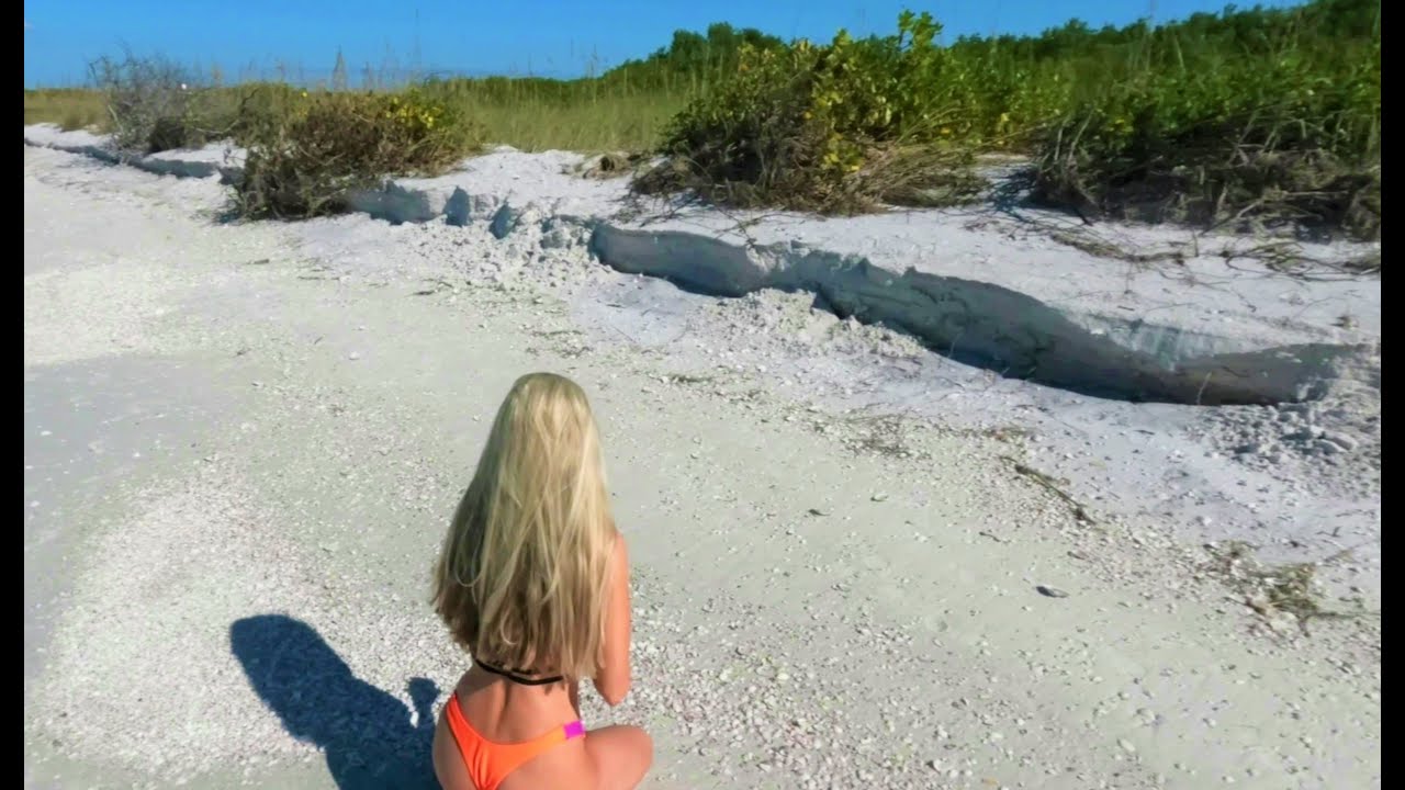 Rare ‘Fish’ in Beach Surf in Florida – Shell island 🏝