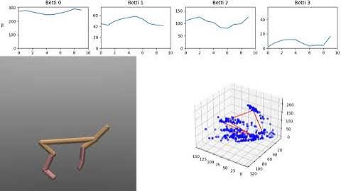 Fig1 video: Topological Dynamics of Functional Neural Network Graphs During Reinforcement Learning