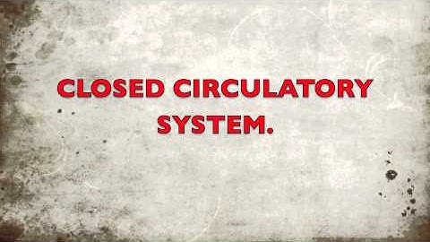 open and closed circulatory systems - AS bio