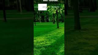 How To Create Transparent Bar Navigation With Menu Using HTML and CSS | Tutorial