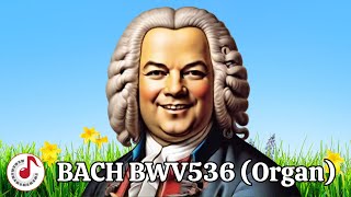 Bach  Prelude and Fugue in A major,BWV536 (Organ) 巴赫風琴音樂 @ClassicalAwesome